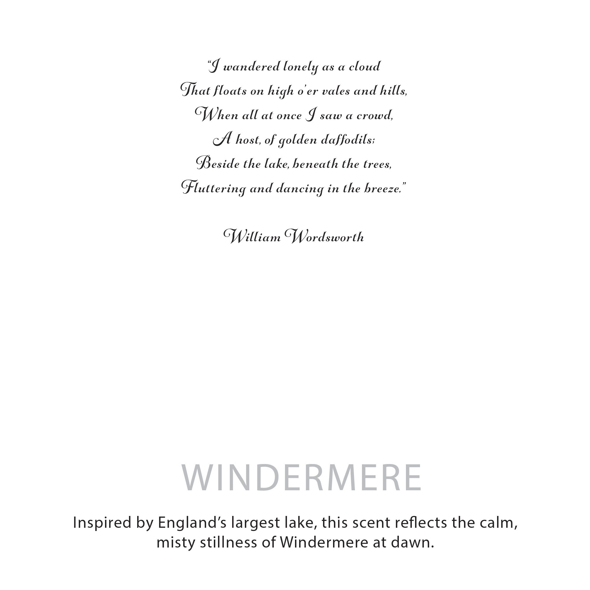 Agnes + Cat Botanical Soy Wax Candle - Windermere